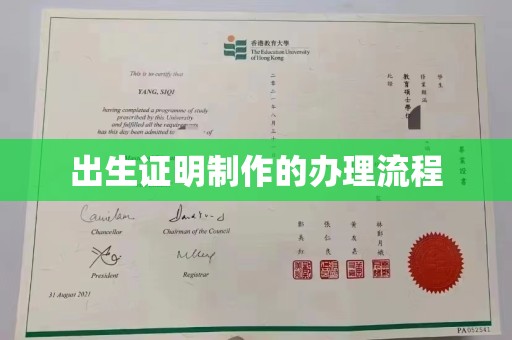 让胡路出生证明制作的办理流程