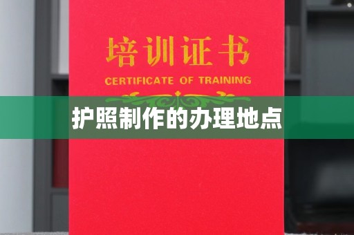 让胡路护照制作的办理地点