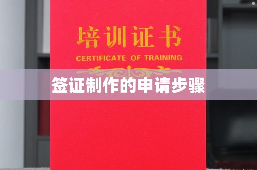 让胡路签证制作的申请步骤