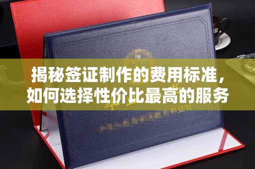 让胡路揭秘签证制作的费用标准，如何选择性价比最高的服务？