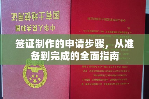 让胡路签证制作的申请步骤，从准备到完成的全面指南