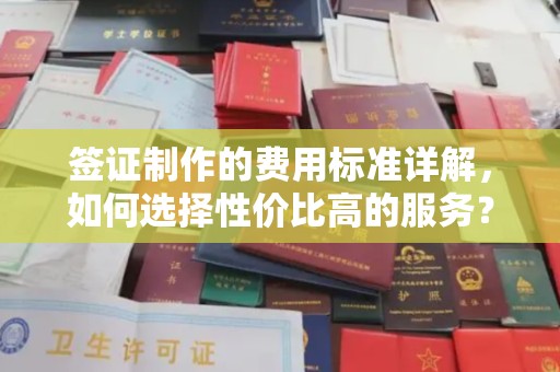 让胡路签证制作的费用标准详解，如何选择性价比高的服务？