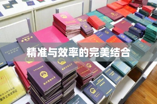 让胡路精准与效率的完美结合